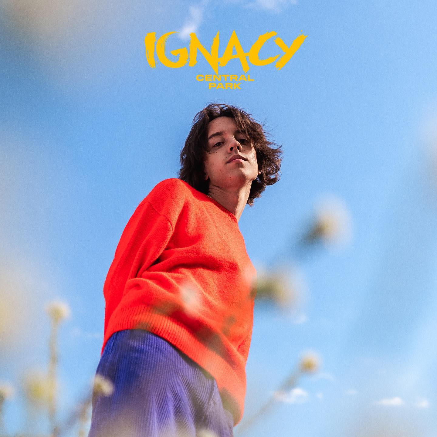 okładka płyty Ignacy CENTRAL PARK - płyta zawiera hit Czekam na Znak