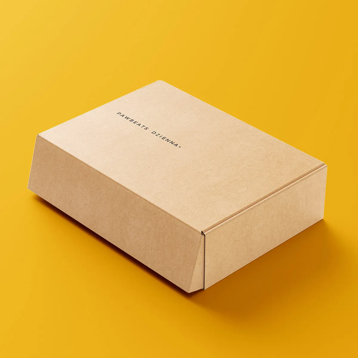 Pawbeats Dzienna - mystery box