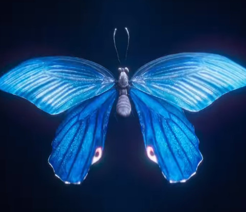 Sylwia Grzeszczak Motyle