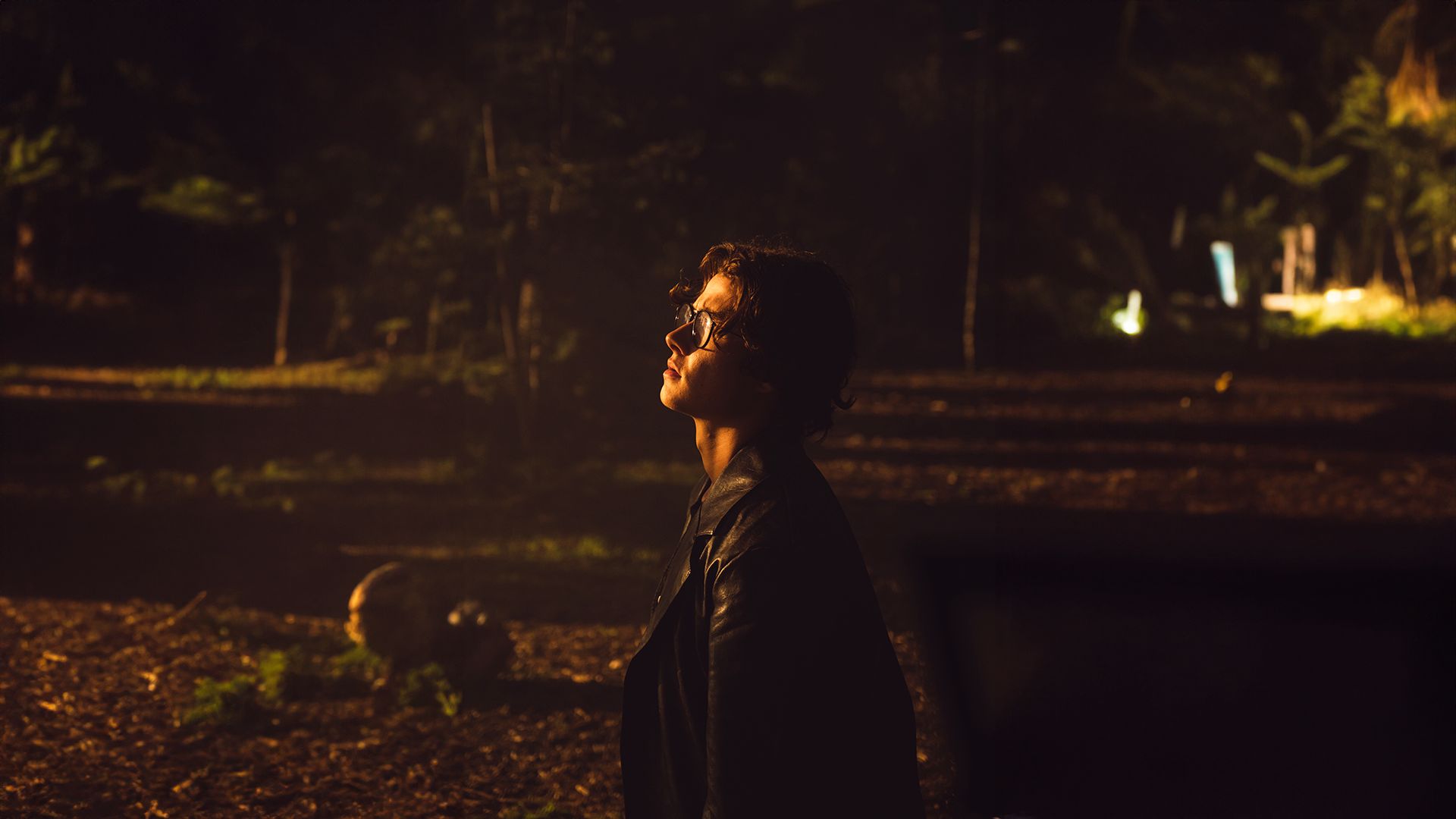 david kushner the dichotomy